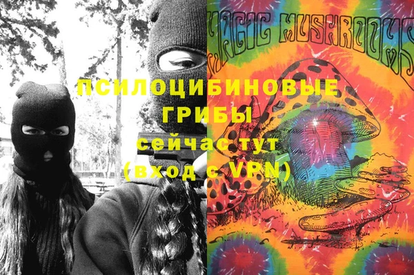 каннабис Новодвинск