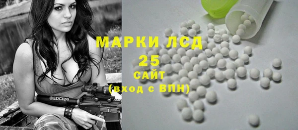 крисы Новозыбков