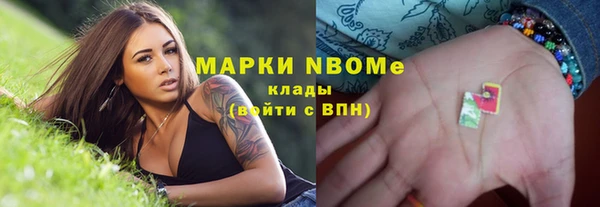 крисы Новозыбков