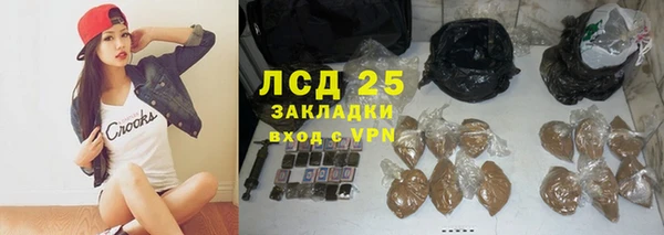 крисы Новозыбков