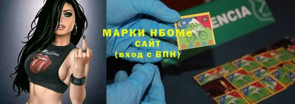 крисы Новозыбков