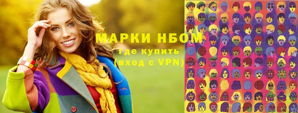 крисы Новозыбков