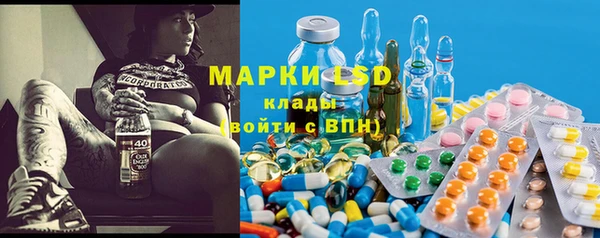 крисы Новозыбков