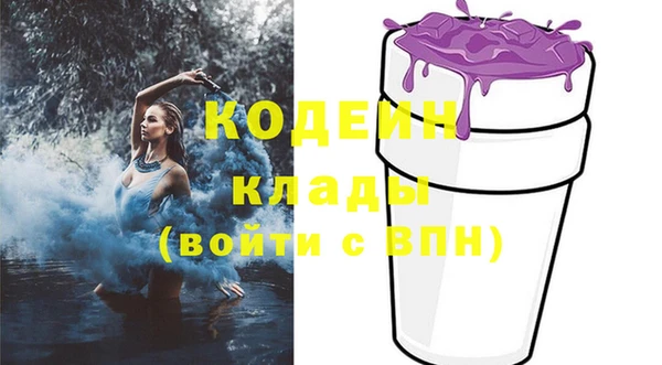 крисы Новозыбков