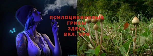 прущая мука Новокубанск