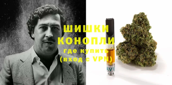 крисы Новозыбков
