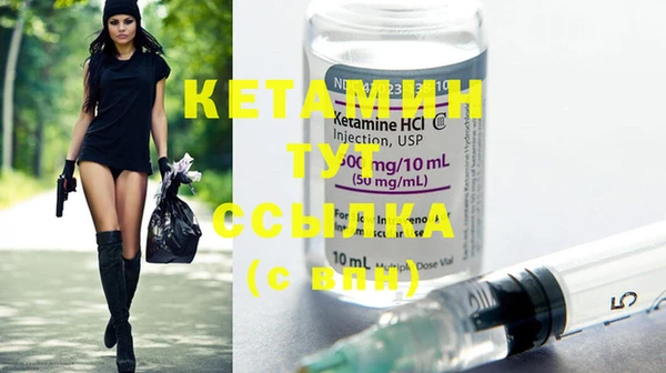 крисы Новозыбков