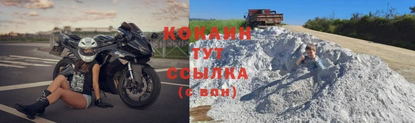 крисы Новозыбков