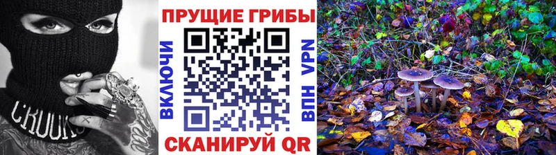 Псилоцибиновые грибы Psilocybe Кизел